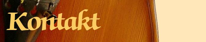 Sechster Teil der Geige - Kontakt.