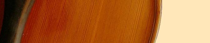 Siebter Teil der Geige - Noch ohne Funktion im Men&uuml;.